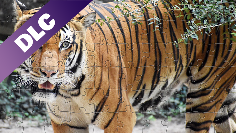 Super Jigsaw Puzzle: Generations - Free Big Cat Image Giveaway
